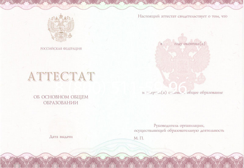 Купить Аттестат за 9 класс 2014-2024 года в Новомосковске