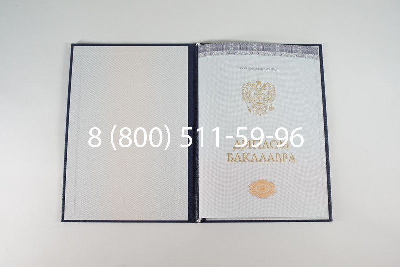 Диплом бакалавра (Киржач) 2014-2024 года в Новомосковске