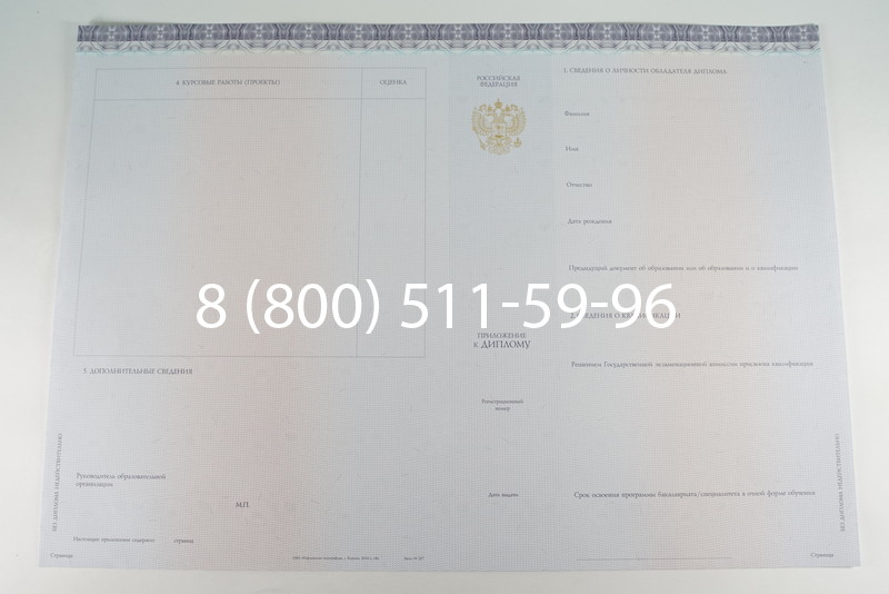 Диплом бакалавра (Киржач) 2014-2024 года в Новомосковске