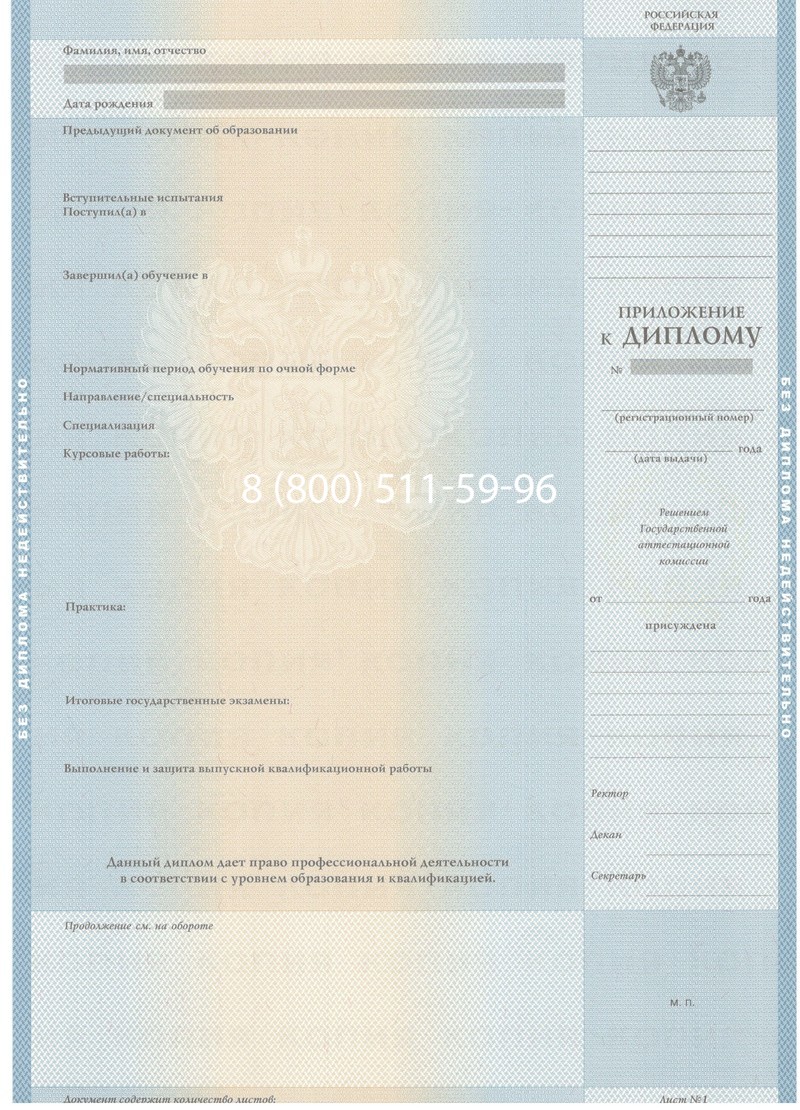 Заказать Диплом бакалавра 2003-2009 годов в Новомосковске Заказать Диплом бакалавра 2003-2009 годов в Новомосковске