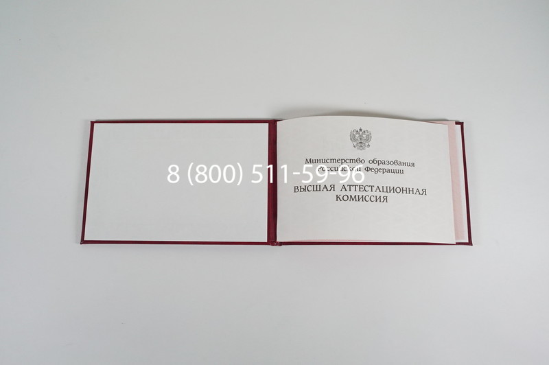 Диплом доктора наук 1995-2006 года в Новомосковске