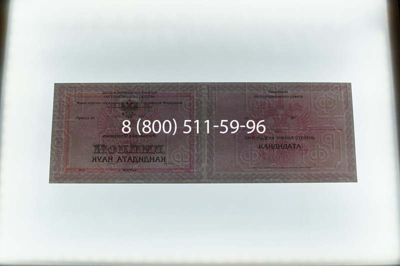 Заказать Диплом кандидата наук 2010 в Новомосковске