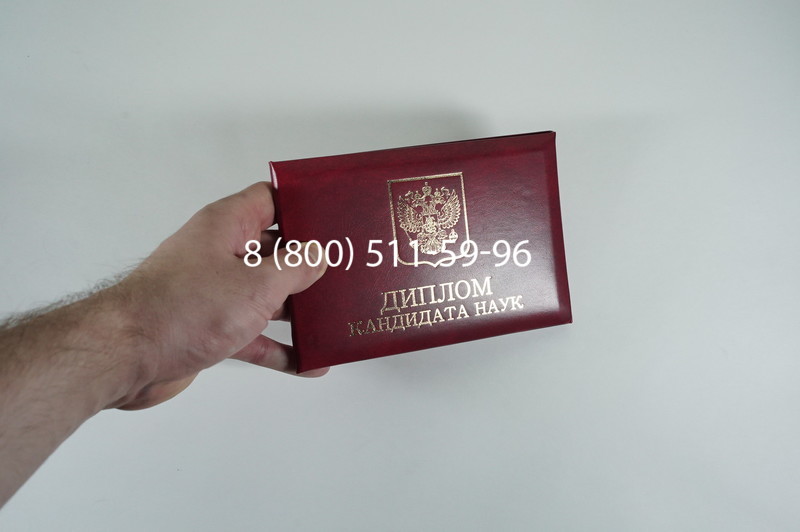 Диплом кандидата наук 2010 в Новомосковске