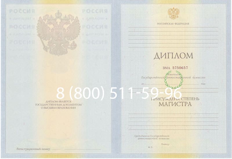 Купить Диплом магистра 2010-2011 годов в Новомосковске
