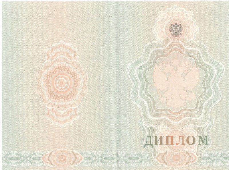 Купить Диплом о начальном образовании 2007-2009 годов в Новомосковске Купить Диплом о начальном образовании 2007-2009 годов в Новомосковске