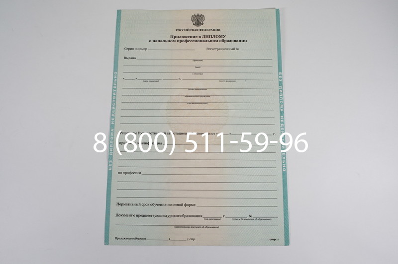 Диплом ПТУ 2014-2024 года в Новомосковске
