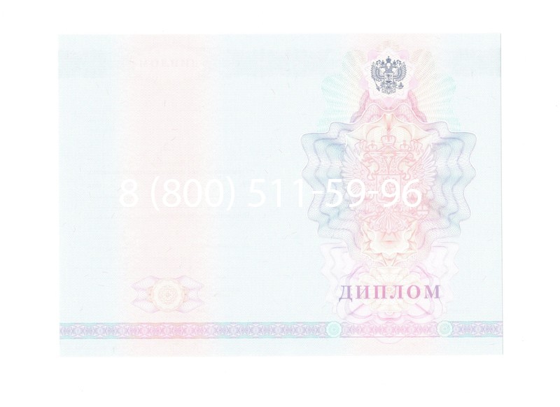 Заказать Диплом техникума 2007-2010 годов в Новомосковске Заказать Диплом техникума 2007-2010 годов в Новомосковске