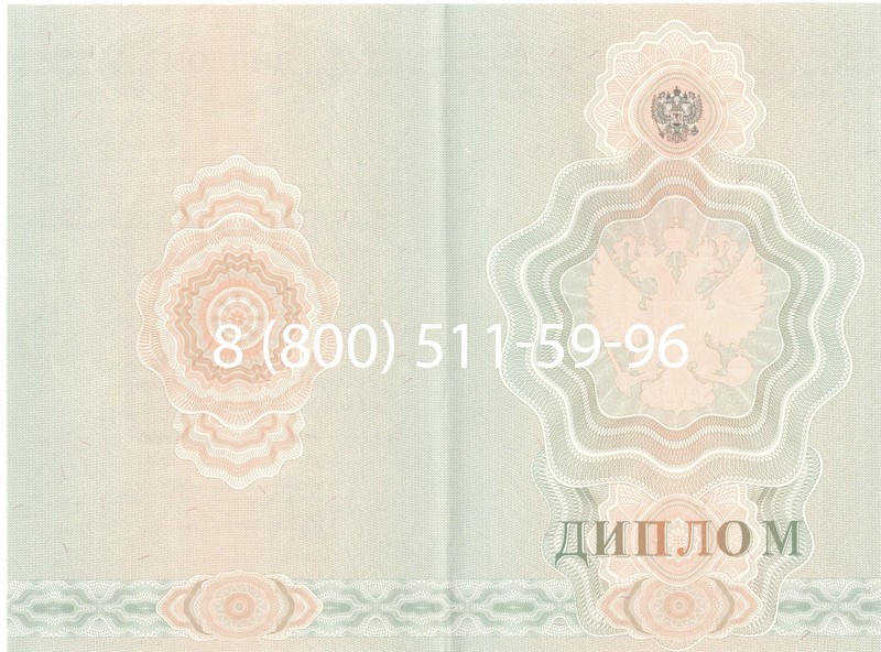 Купить Диплом училища 2007-2009 годов в Новомосковске Купить Диплом училища 2007-2009 годов в Новомосковске